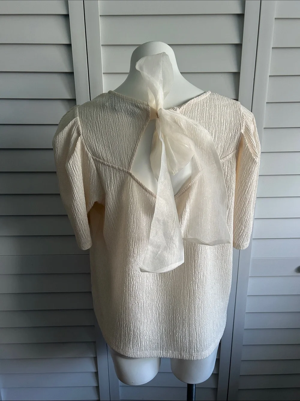 Anthropologie | Sunday in Brooklyn now back puff sleeve top